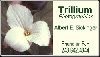 Trillium Photographics